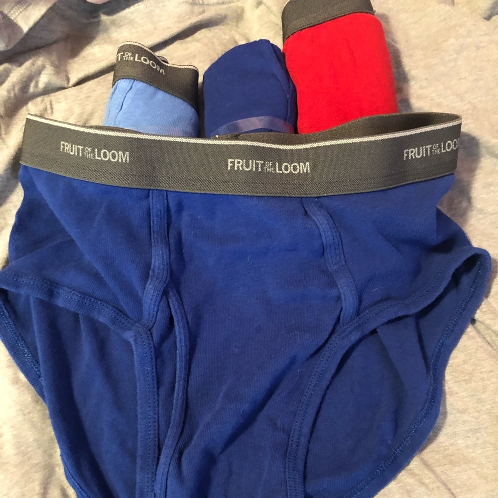 Fruit of the loom men’s briefs